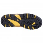 Amblers Safety FS998 Honey 