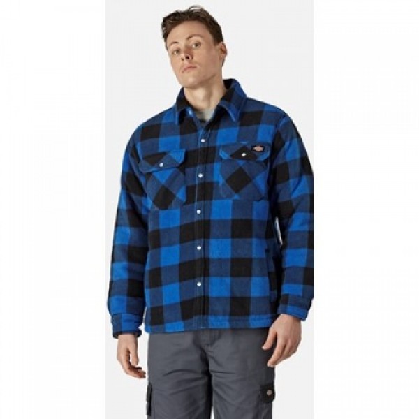 Dickies Royal Blue Portland Shirt
